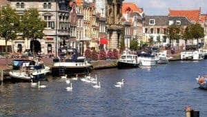 webdesign haarlem
