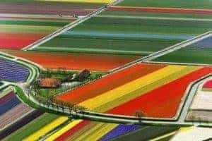 webdesign bollenstreek 2