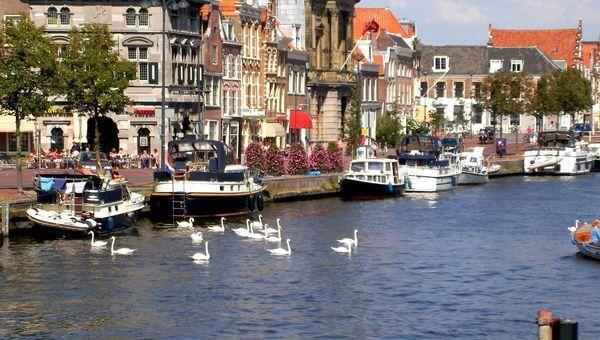 webdesign haarlem